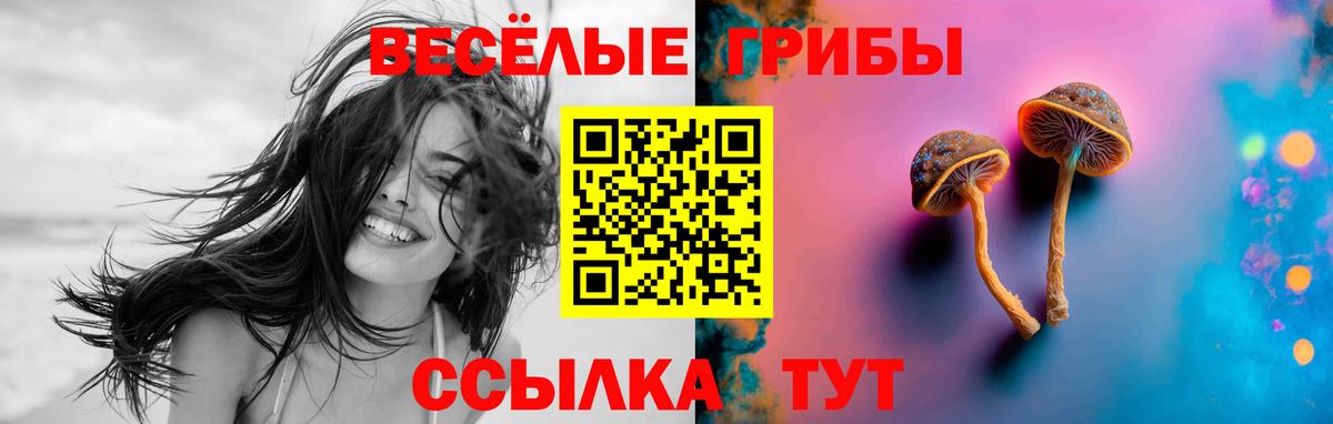 Псилоцибиновые грибы GOLDEN TEACHER  Вход с VPN  Галлюциногенные грибы Psilocybe  Боровичи 