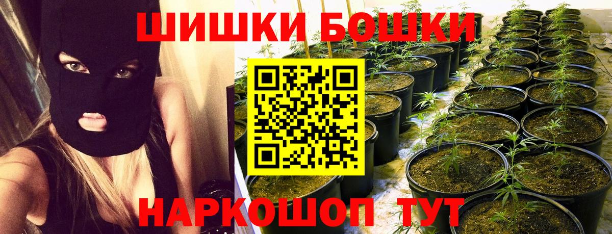 Конопля тримм  Бошки марихуана конопля  Конопля индика  Боровичи  Вход с VPN  Марихуана LSD WEED 